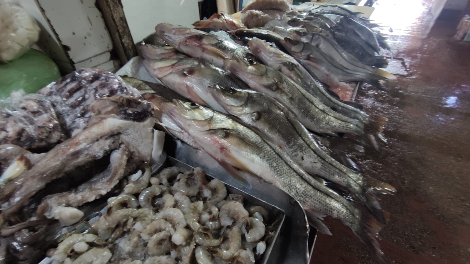 Esperan ligero repunte en la venta de mariscos en Coatza durante cuaresma |  La Jornada Veracruz