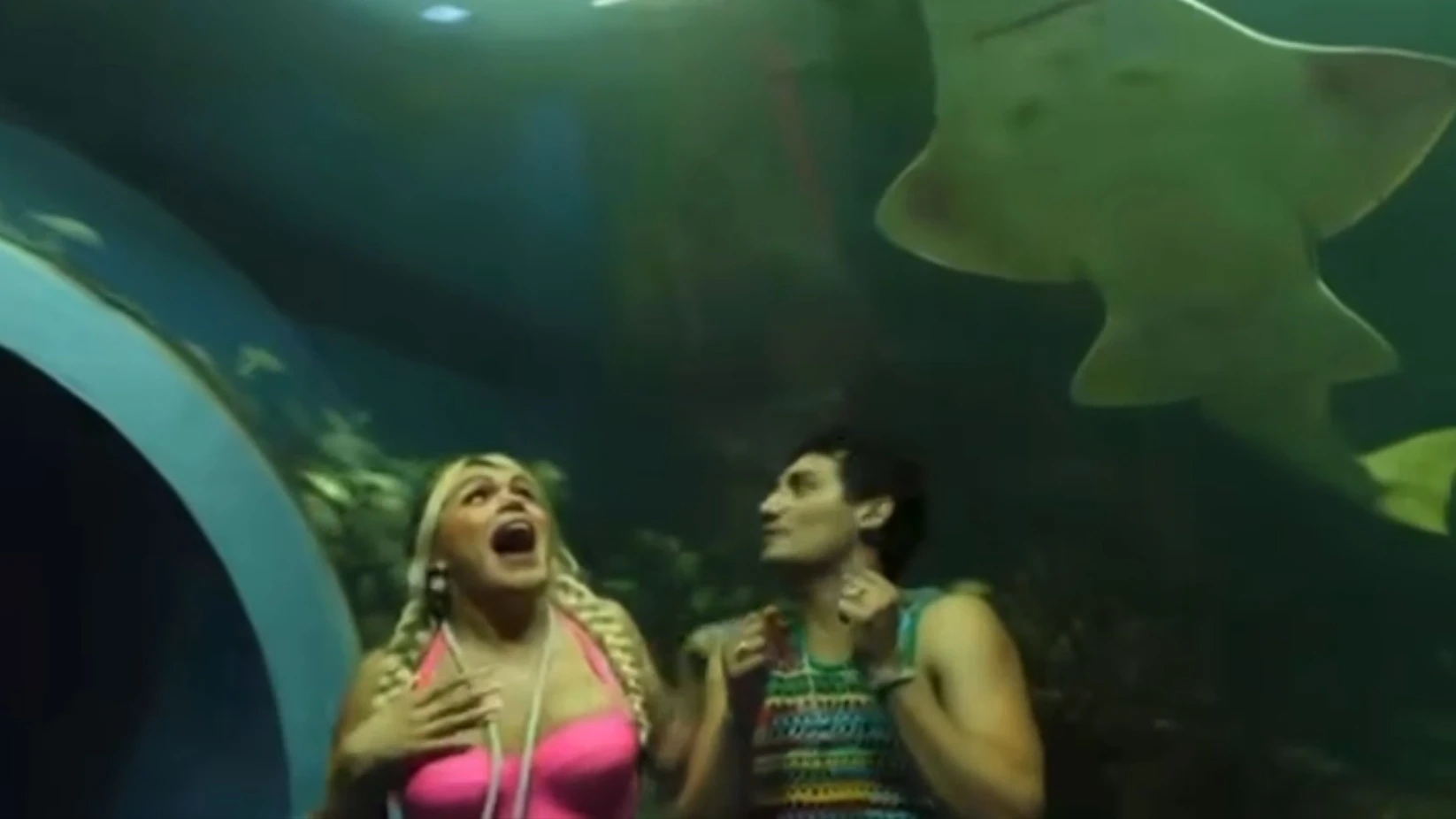 Wendy Guevara y Emilio Osorio visitan el Aquarium del Puerto de Veracruz |  La Jornada Veracruz